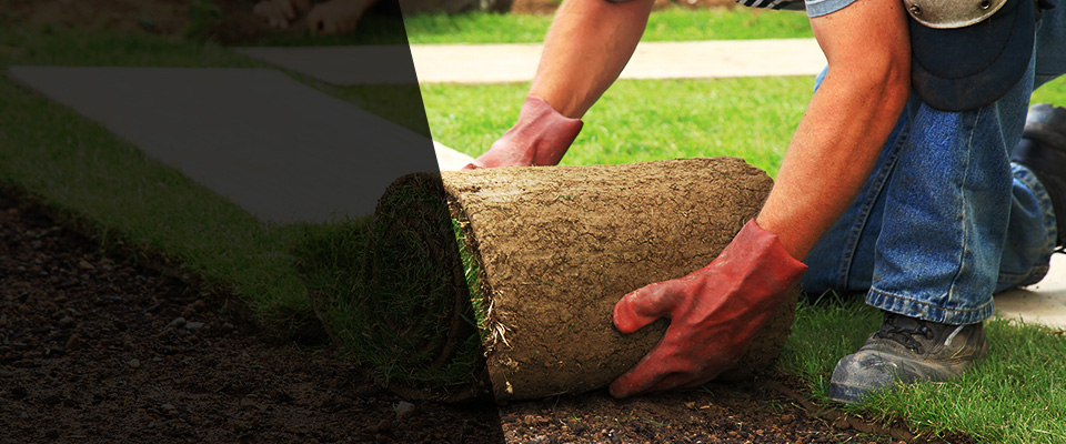 Wagontown Landscapers